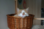 Roderik ZZzzzzzz......
