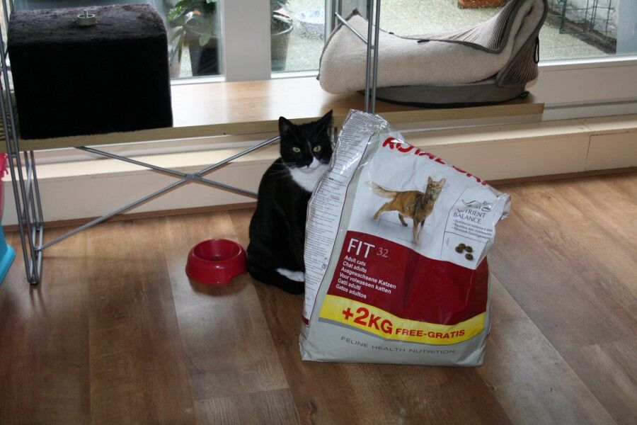 Jimmy bij de zak Royal Canin