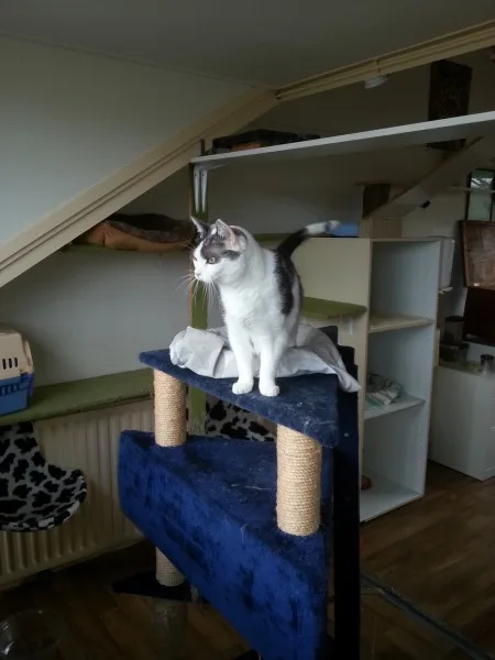 Logeetjes, foto 2